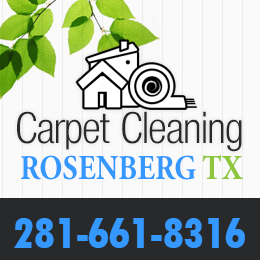 Carpet Cleaning Rosenberg TX logo