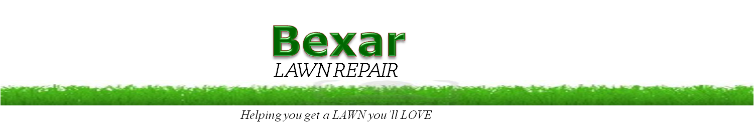 Bexar Lawn Repair logo