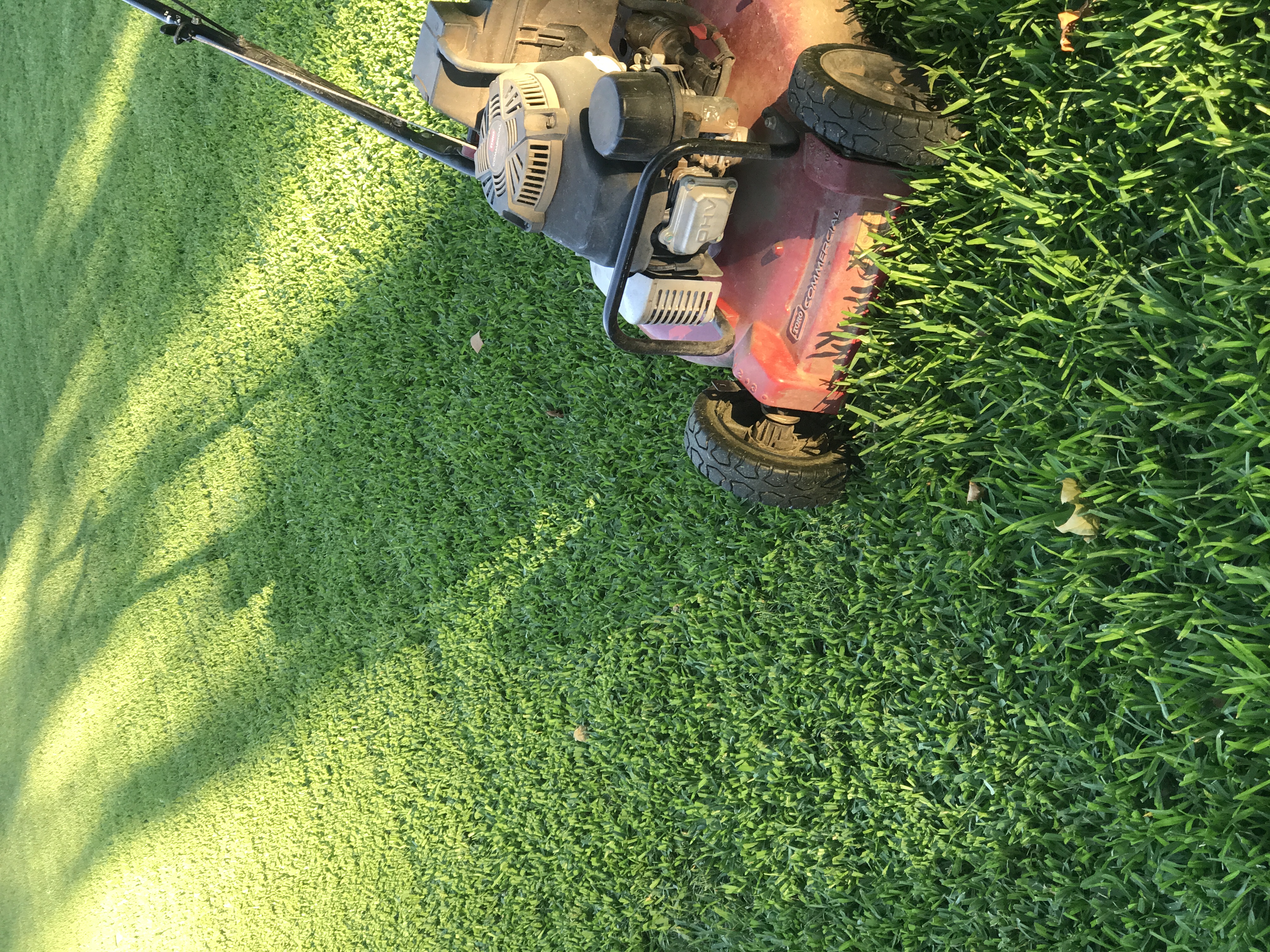 NOT INTERESTED A Boy and His Mower logo