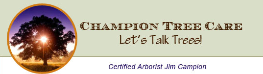 Champion Tree Care Inc logo