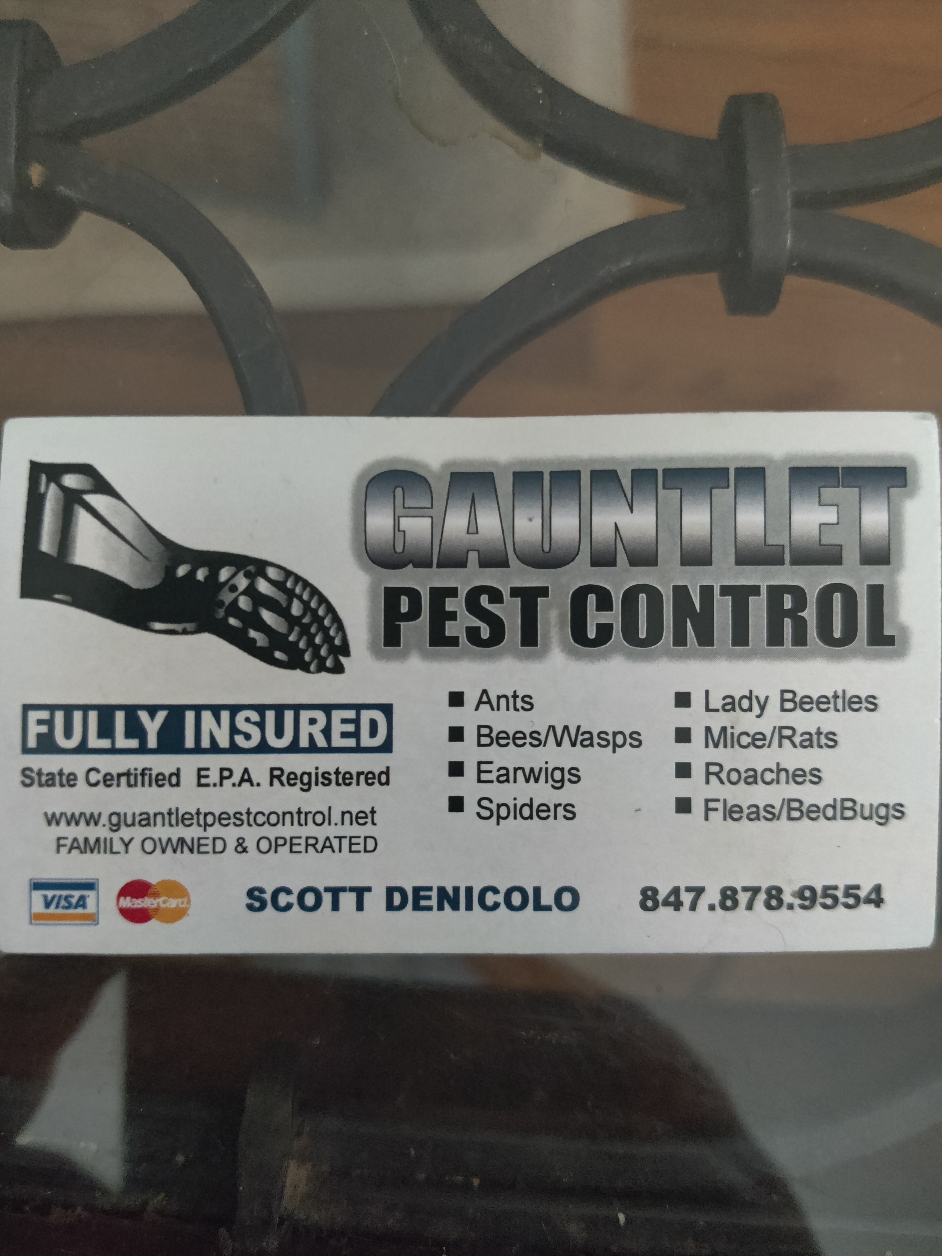 GAUNTLET PEST CONTROL logo