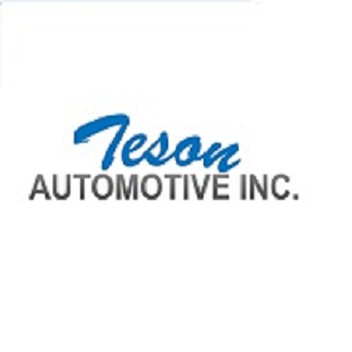 TESON AUTOMOTIVE INC logo