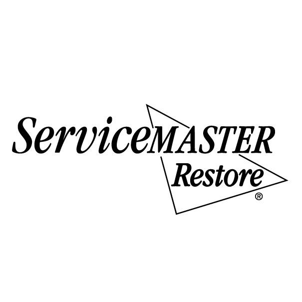 ServiceMaster DSI – Springfield logo