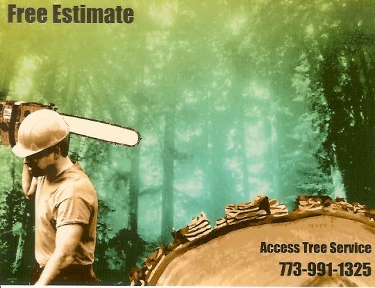 Avatar for Access Tree Service LLC