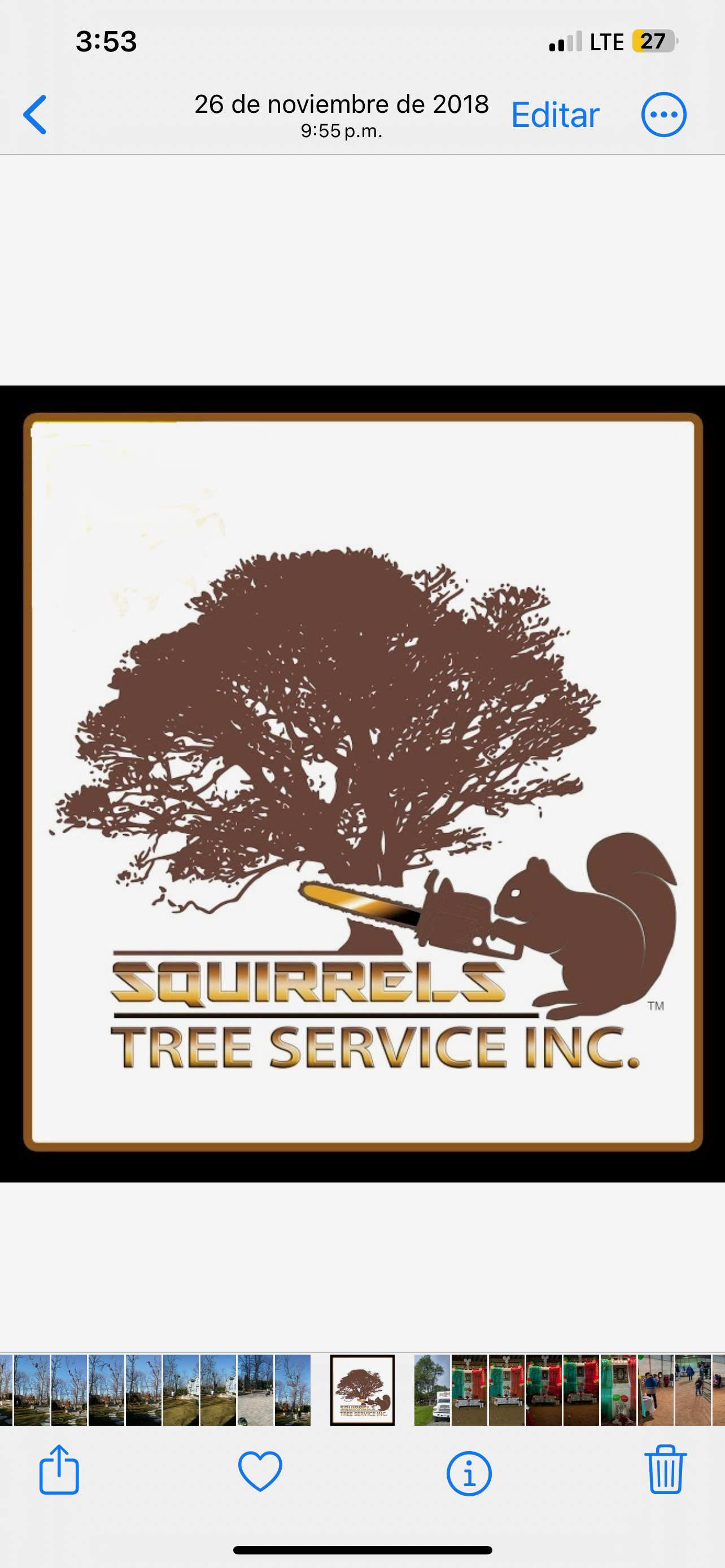 Squirrels Tree Service Inc. logo