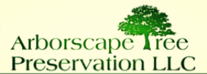 Logo for Arborscape Tree Preservation LLC