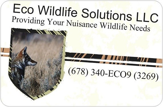 Eco Wildlife Solutions LLC logo