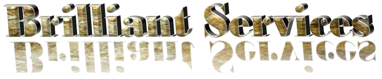 Brilliant Services logo