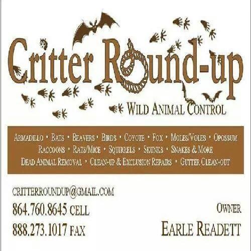 Dirt & Critter Roundup logo