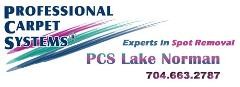 PROFESSIONAL CARPET SYSTEMS logo