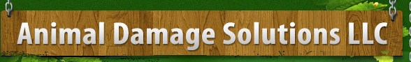Animal Damage Solutions LLC logo