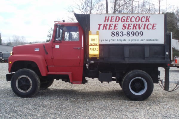 HEDGECOCK TREE SVC logo