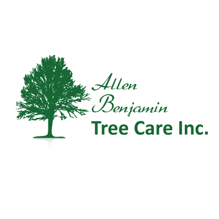 Logo for ALLEN BENJAMIN TREE CARE