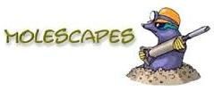 Molescapes logo