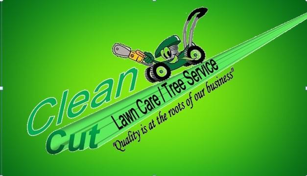 Avatar for CLEAN CUT Lawn Care & Tree Service