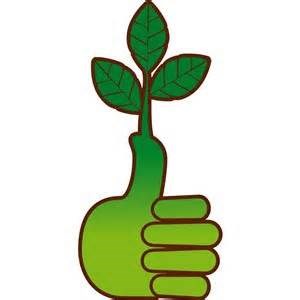 Green Thumb Property Maintenance logo