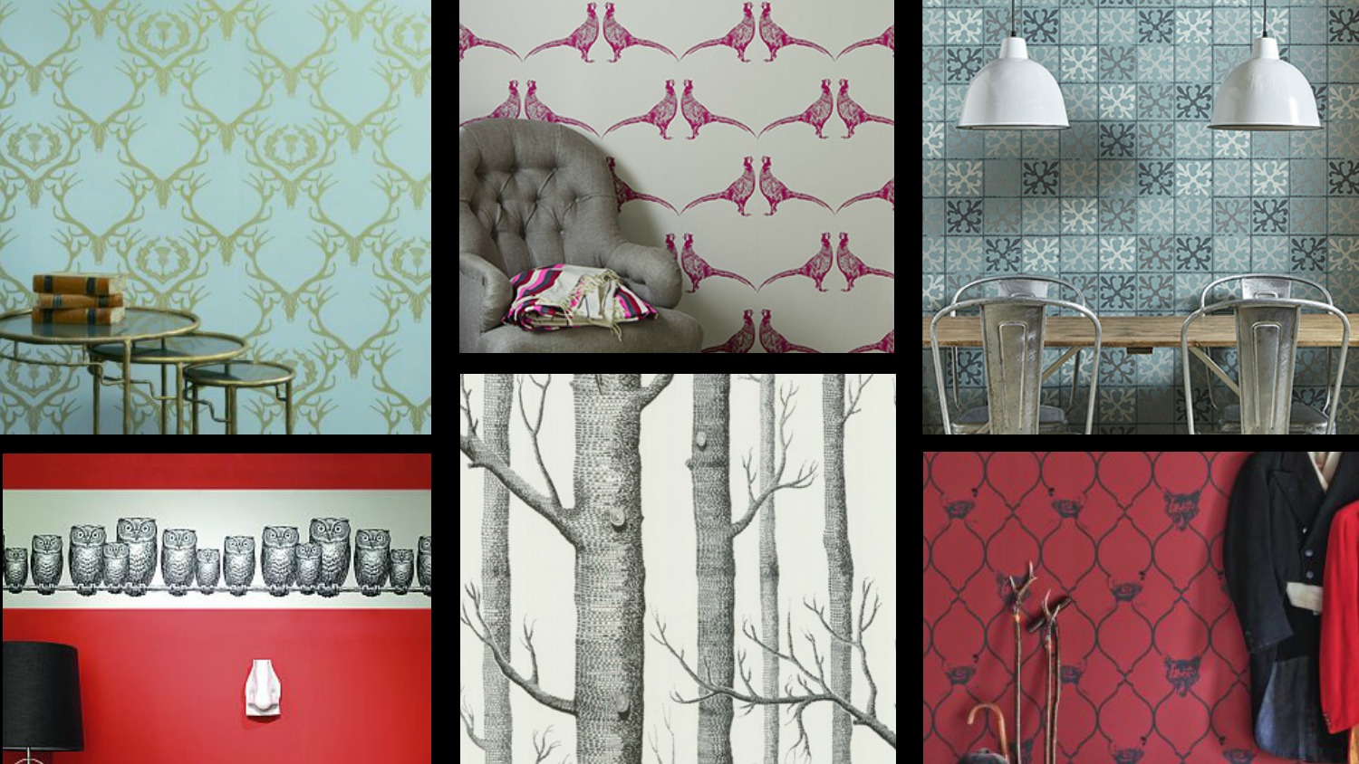 Jenny Elliott Designs logo