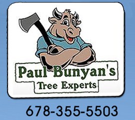 Paul Bunyans Tree Experts Inc logo