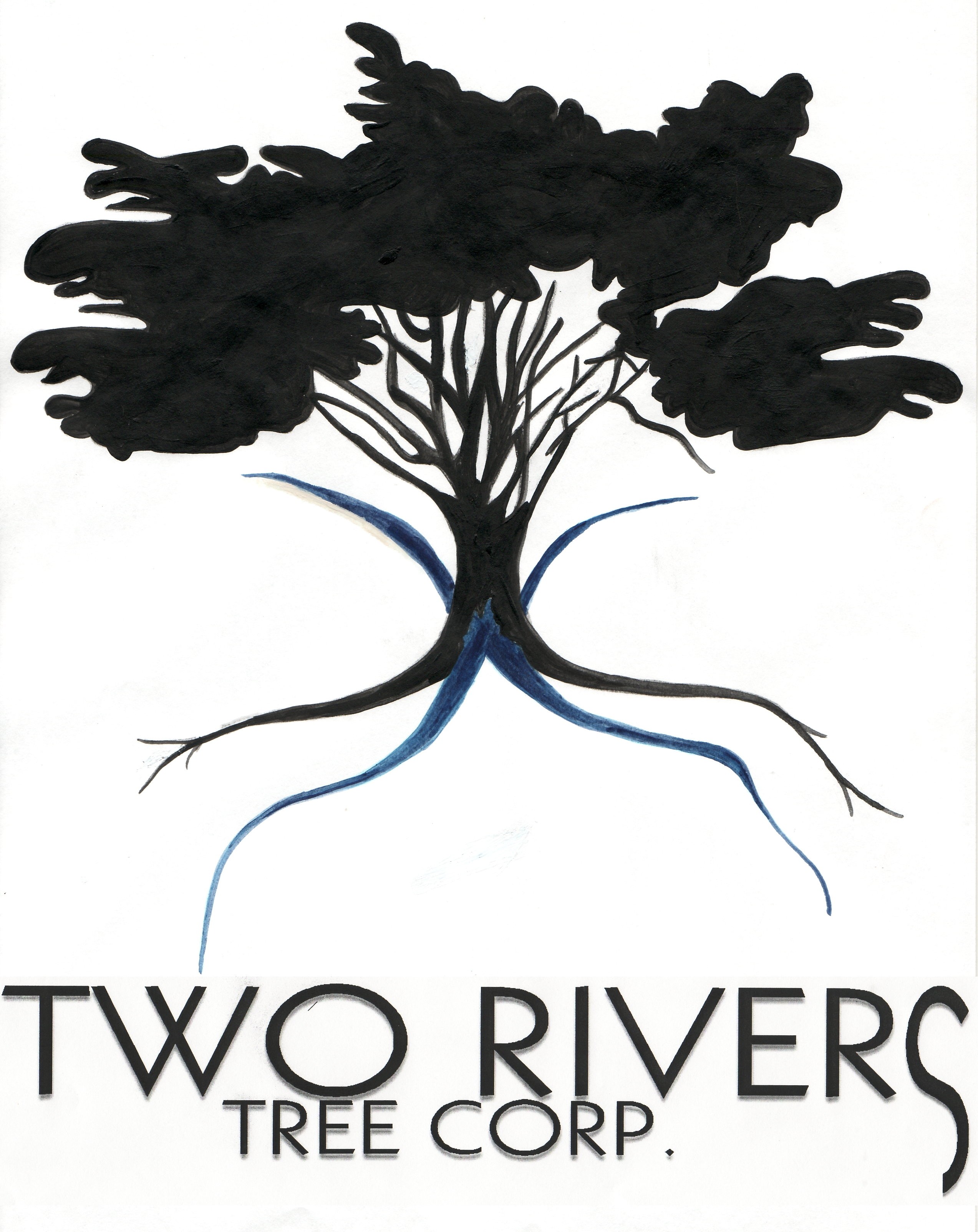 My Tree Guy Tree Experts and Landscape Professionals logo