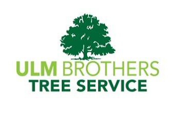 ULM BROTHERS logo