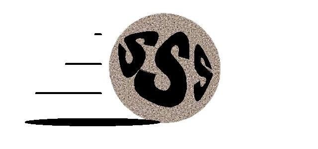Solid Solution Services Inc logo