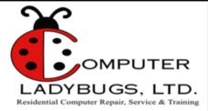 Computer Ladybugs Ltd logo