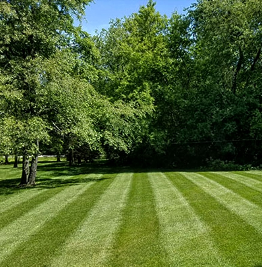 Fine Cut Lawn Care & Landscape LLC logo