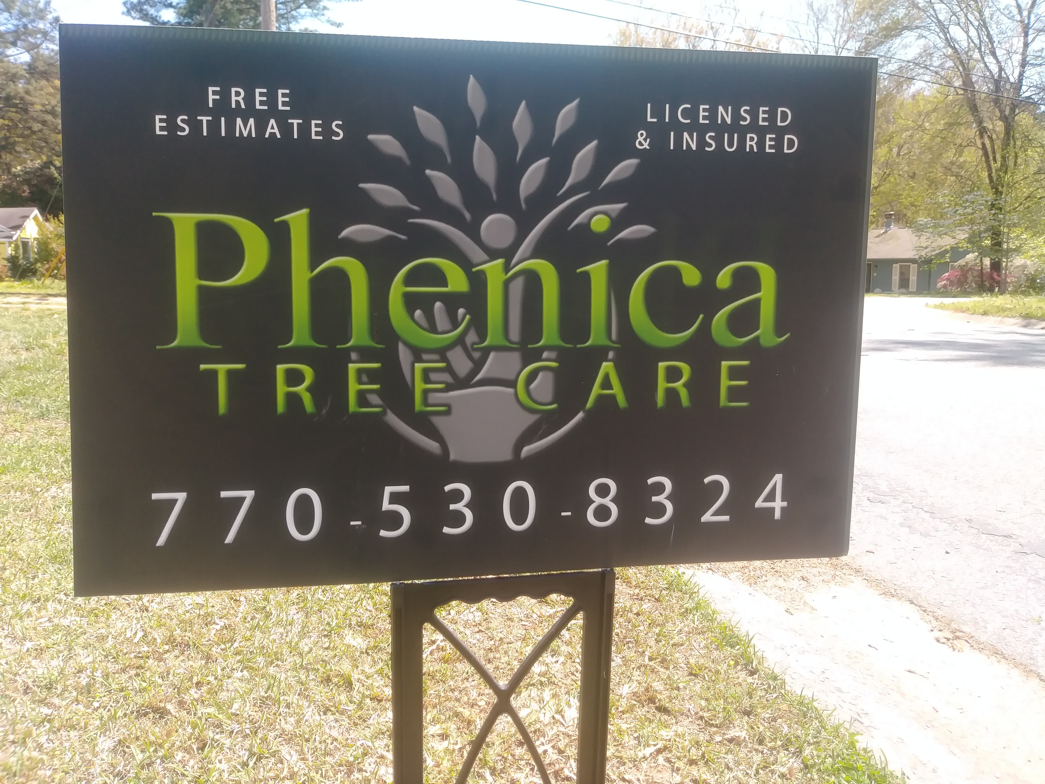 Phenica Tree Care logo
