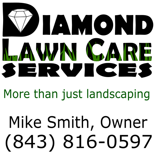 Avatar for Diamond Lawn Care Services