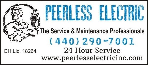 PEERLESS ELECTRIC CO INC logo