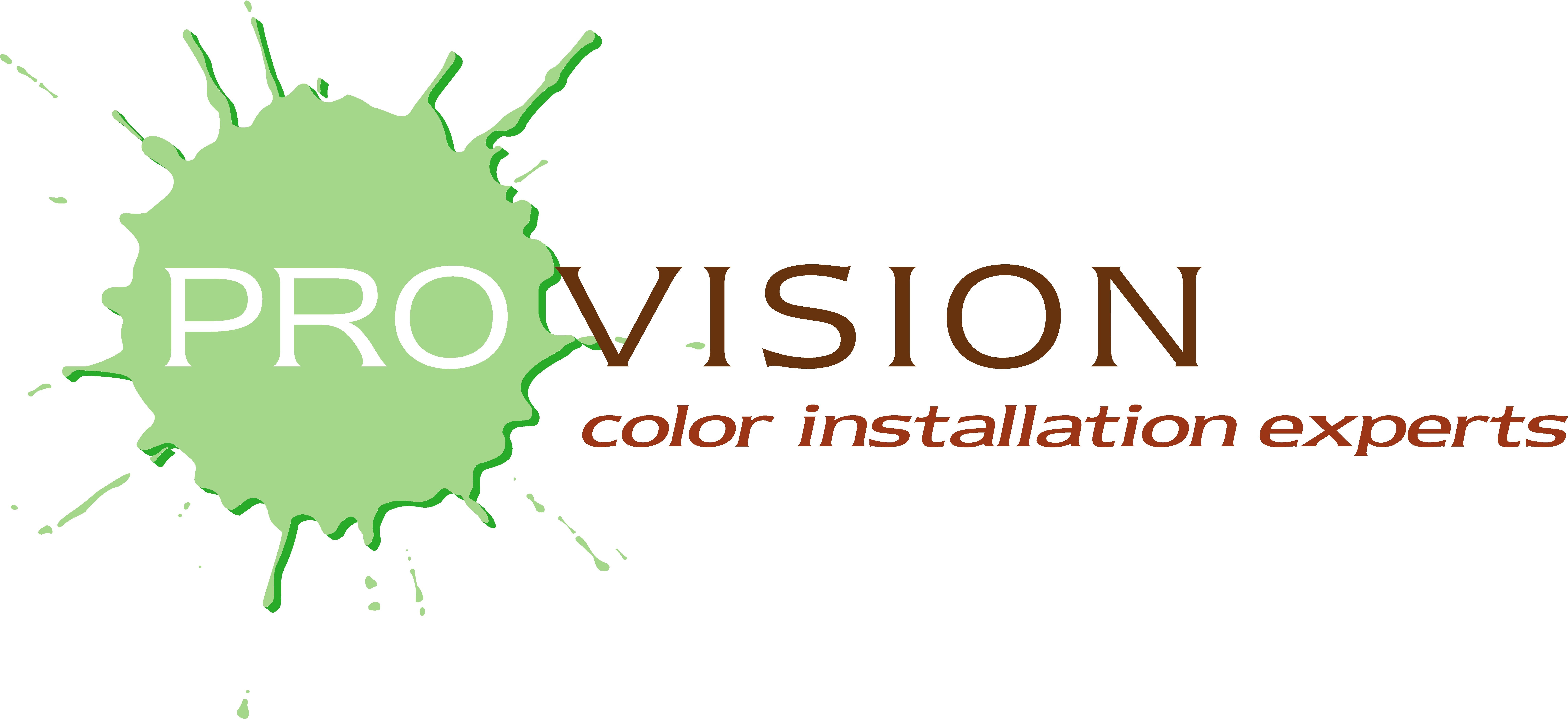 PRO VISION PAINTING logo