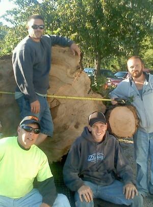 Avatar for Affordable Tree Services LLC