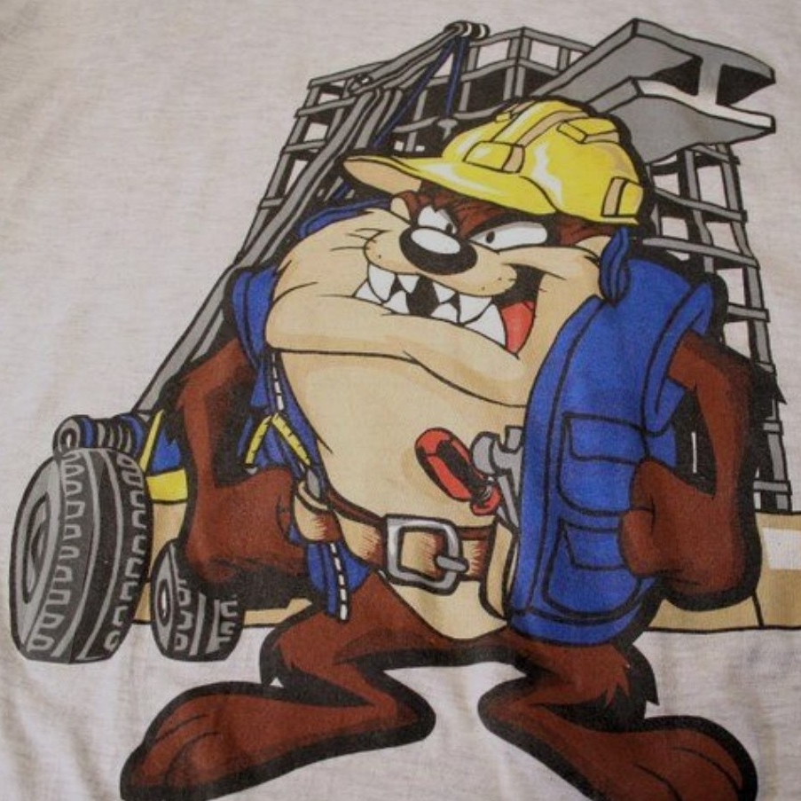 Tazmainian repair Inc. logo