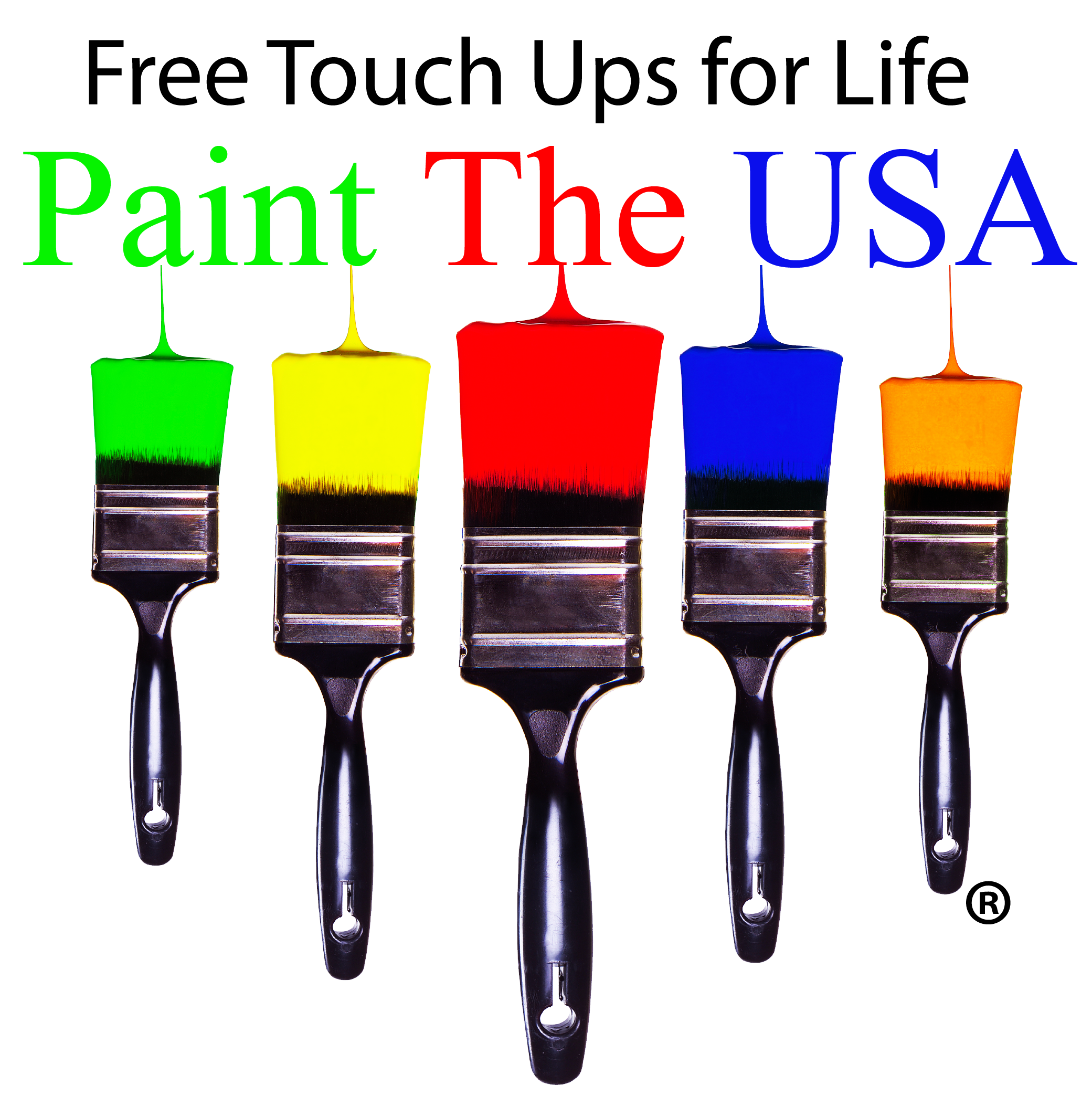 Paint The USA logo