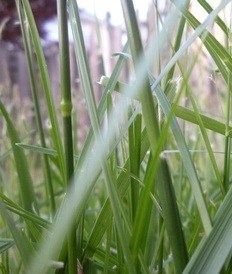 on the other side logo