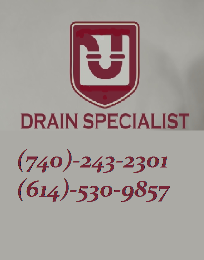 Drain Specialists logo