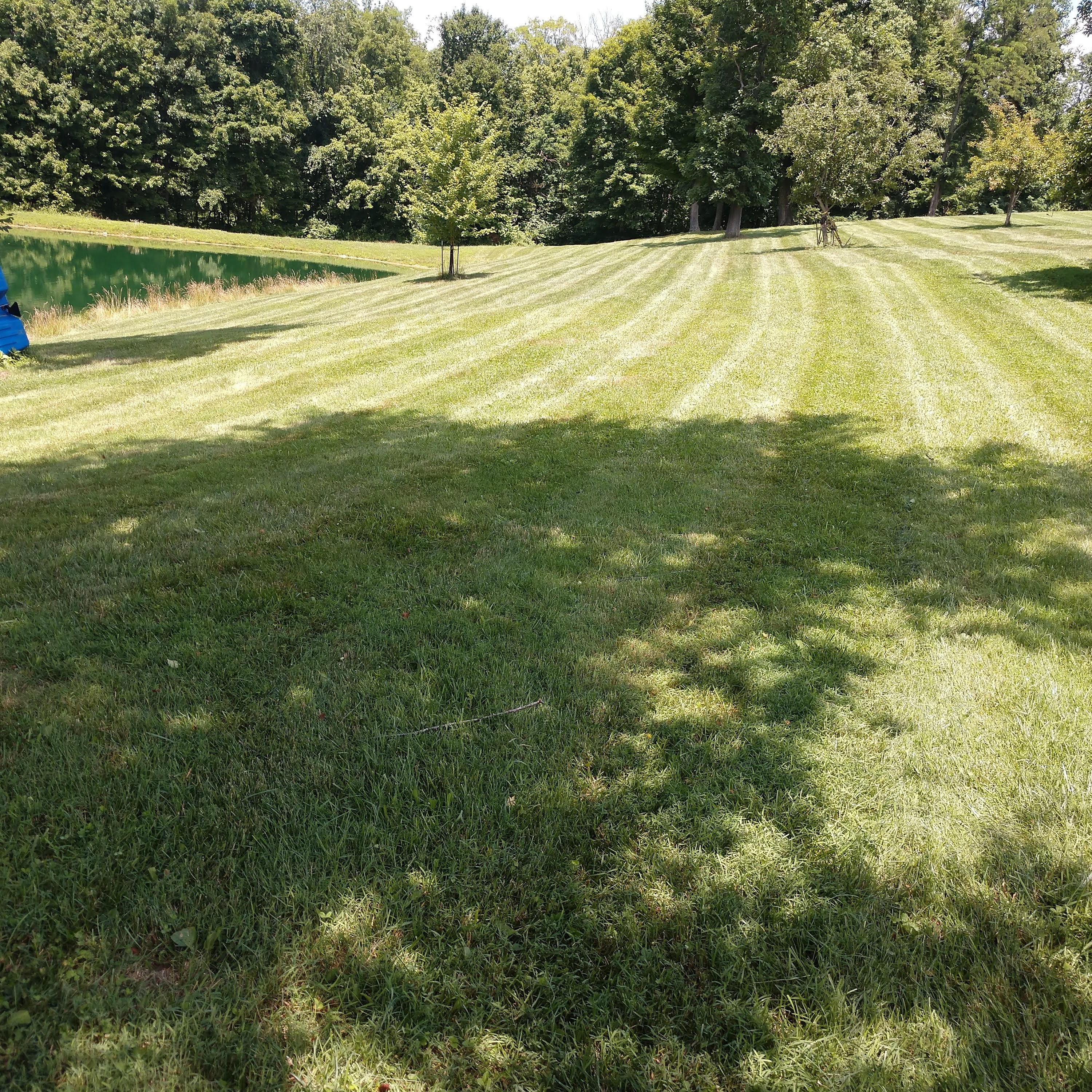 Wolfe's landscape construction.llc logo