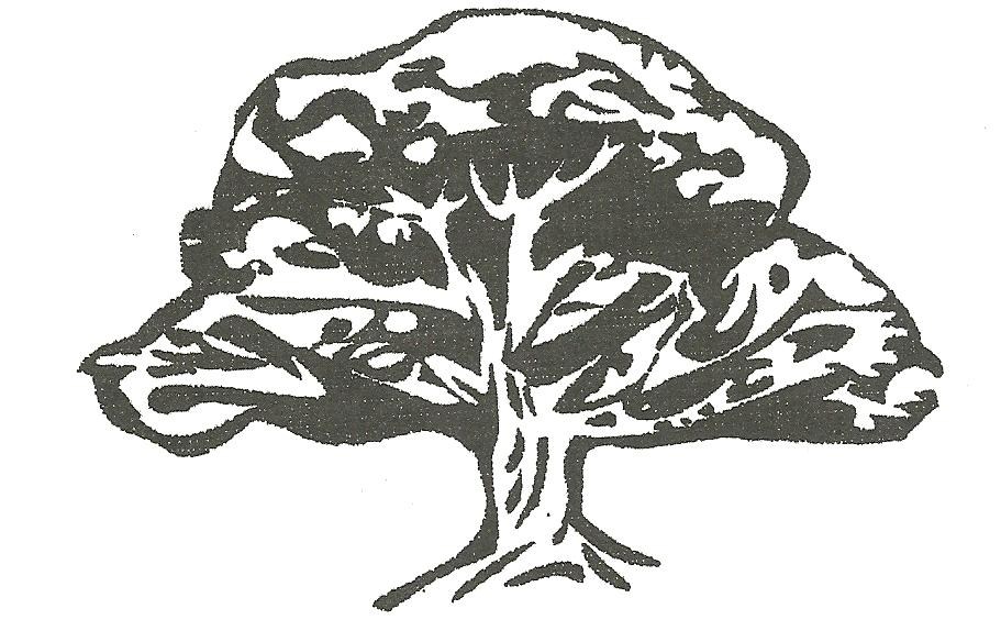 Avatar for WILLIS TREE SERVICE