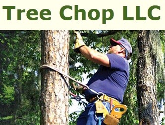 Avatar for Tree Chop LLC - Port Richey
