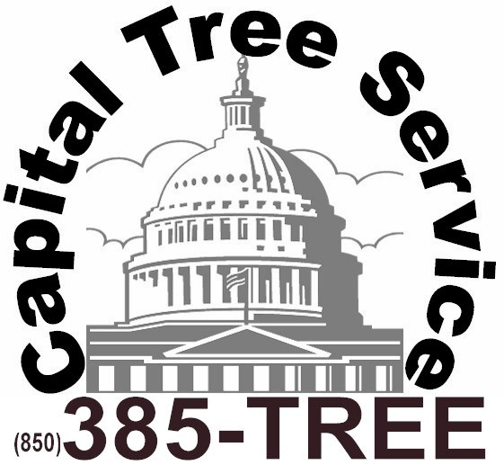 Capital Tree Service logo