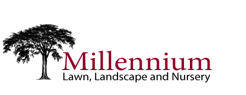 Logo for MILLENNIUM LAWN & LANDSCAPE