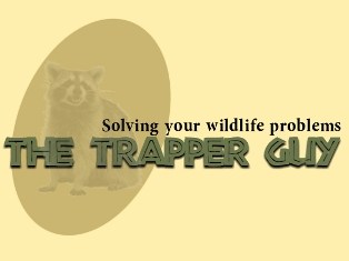 The Trapper Guy logo
