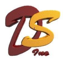 DESIGNER SYSTEMS INC logo