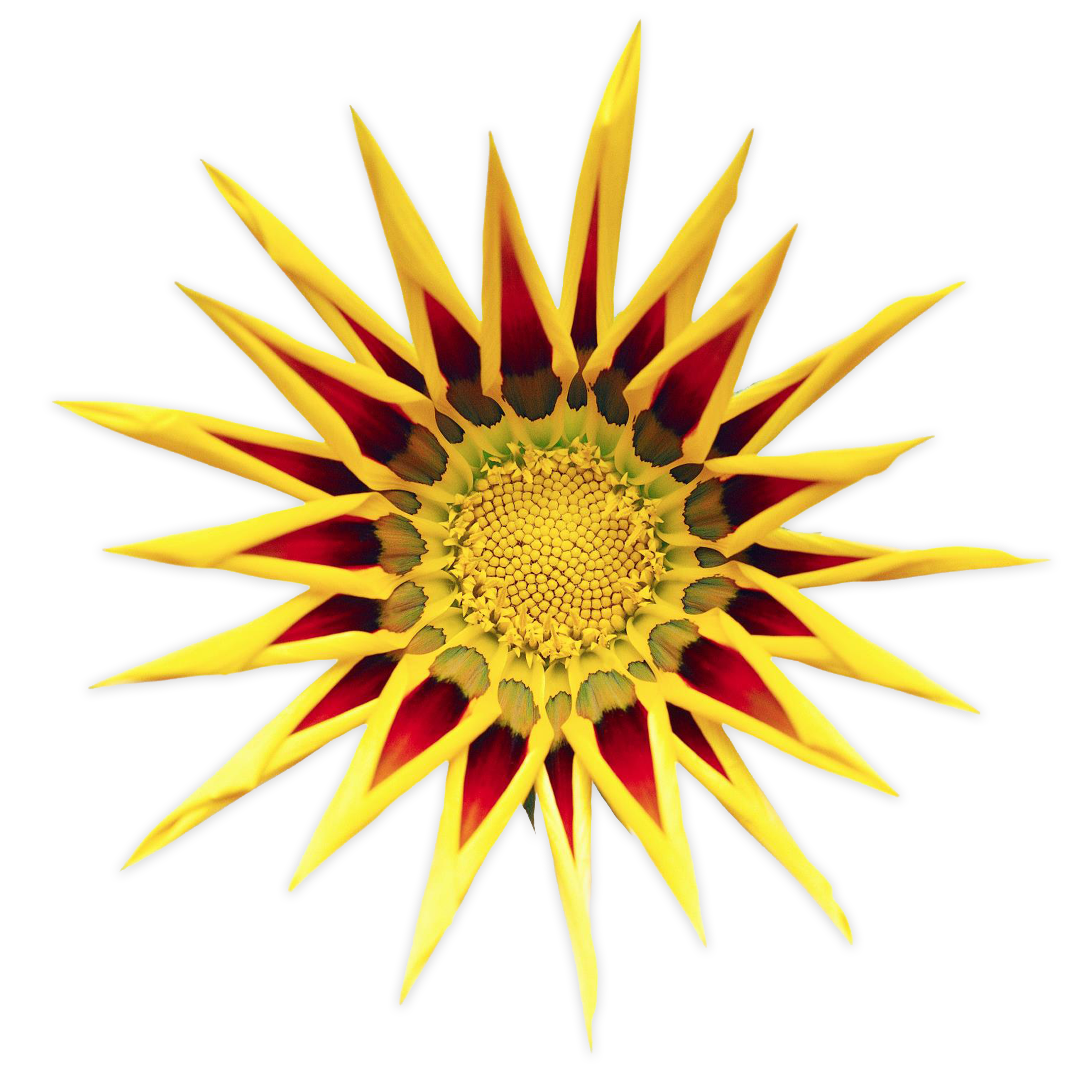 TITLE JUNCTION LLC logo