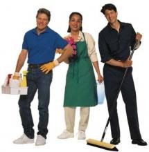 CLEANING AUTHORITY logo