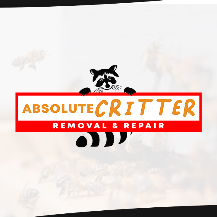 ABSOLUTE CRITTER REMOVAL logo