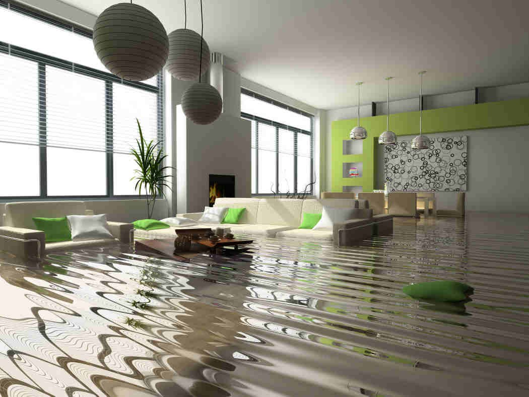 Water Damage Restoration Team logo
