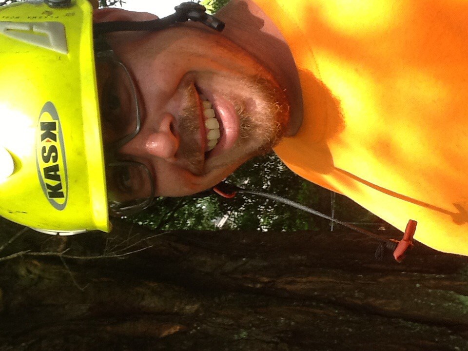 McGuire For Hire Tree Care Hudson logo