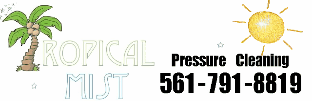 Tropical Mist Pressure Cleaning logo