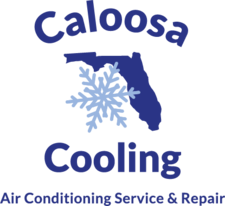 CALOOSA COOLING LEE COUNTY, LLC logo